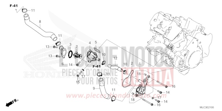 THERMOSTAT/DURIT D'EAU for Transalp 750 ROSS WHITE (NH196) from 2023